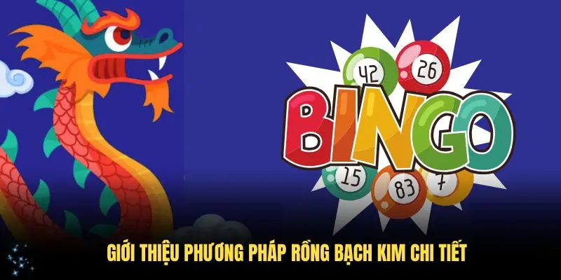 Giới thiệu phương pháp Rồng Bạch Kim chi tiết